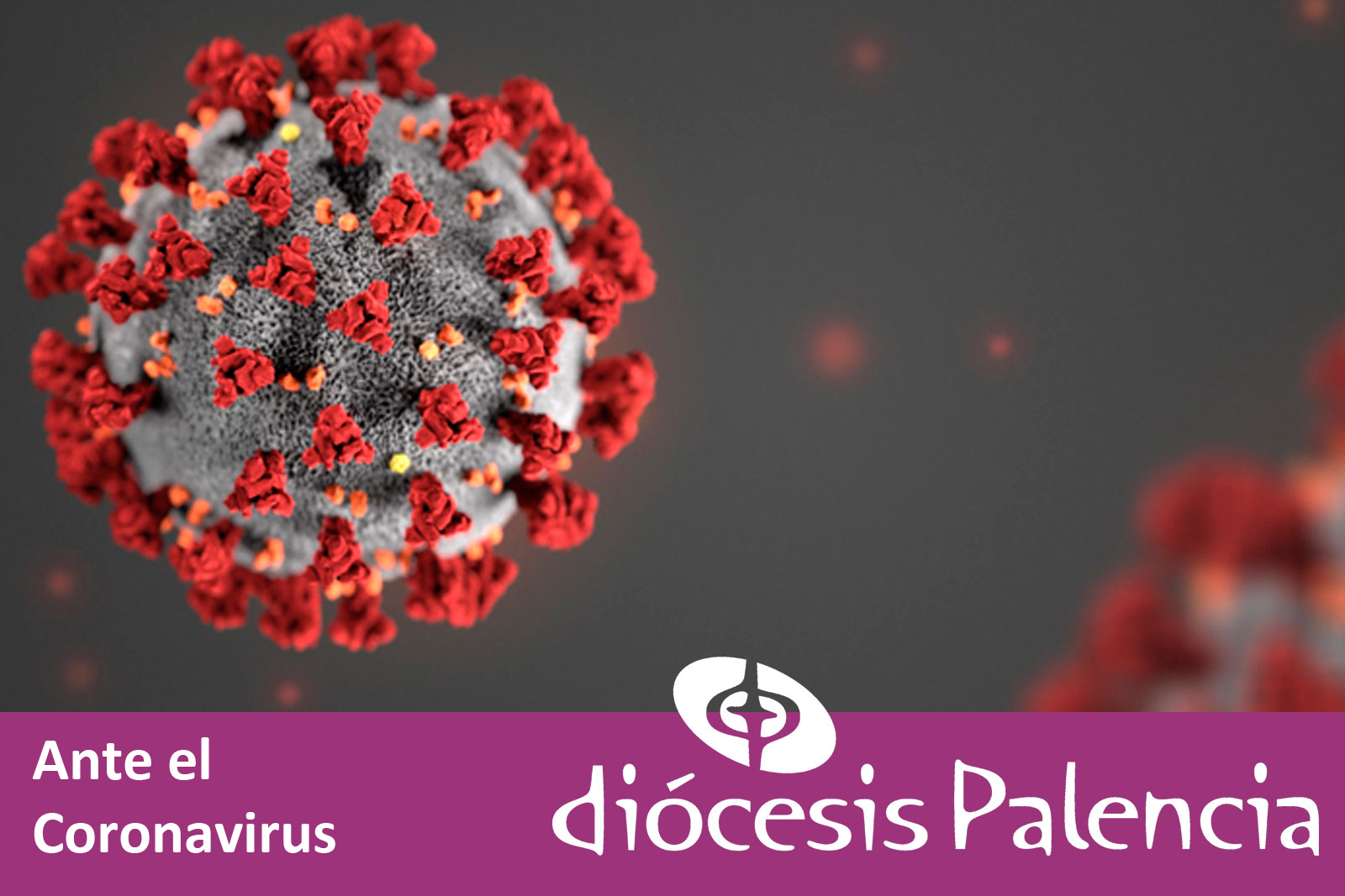 Coronavirus: recopilación de información