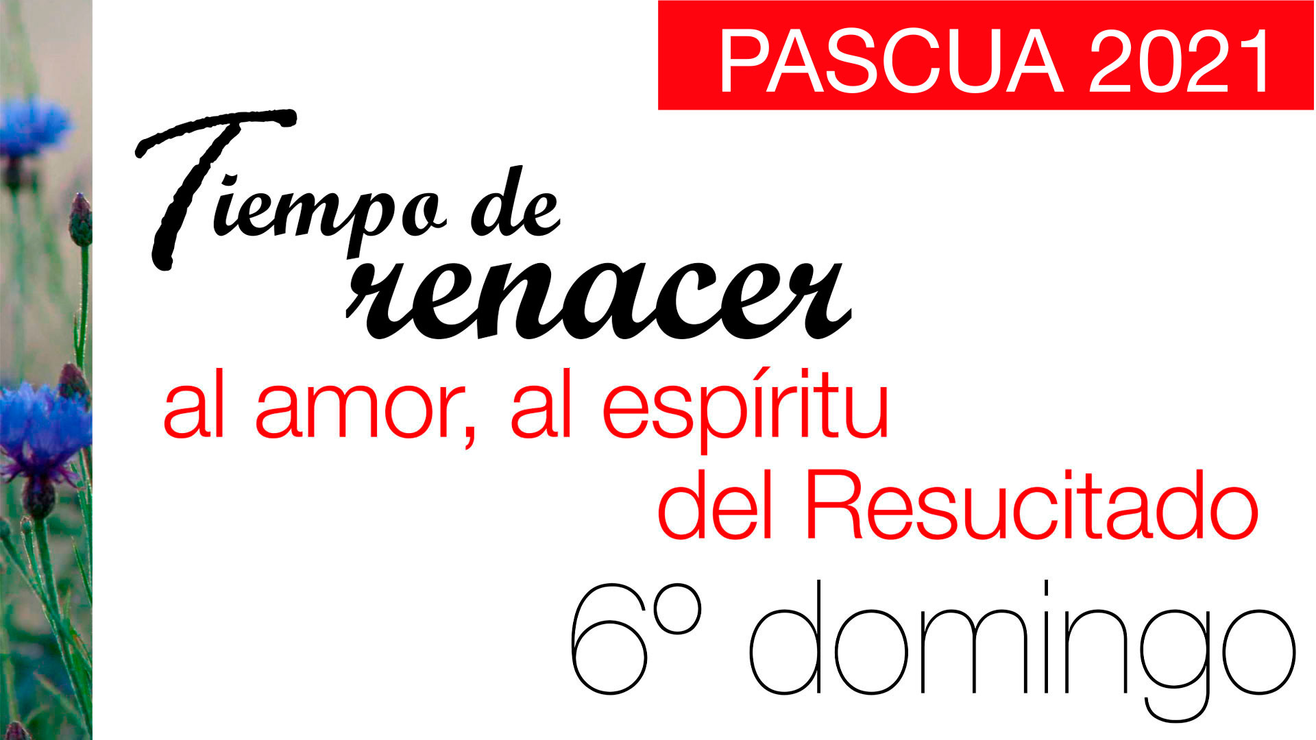 Tiempo de renacer. VI Domingo de Pascua
