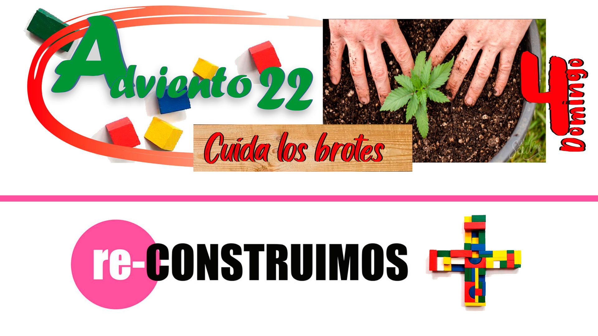 Adviento 2022 - IV Domingo - Cuida los brotes