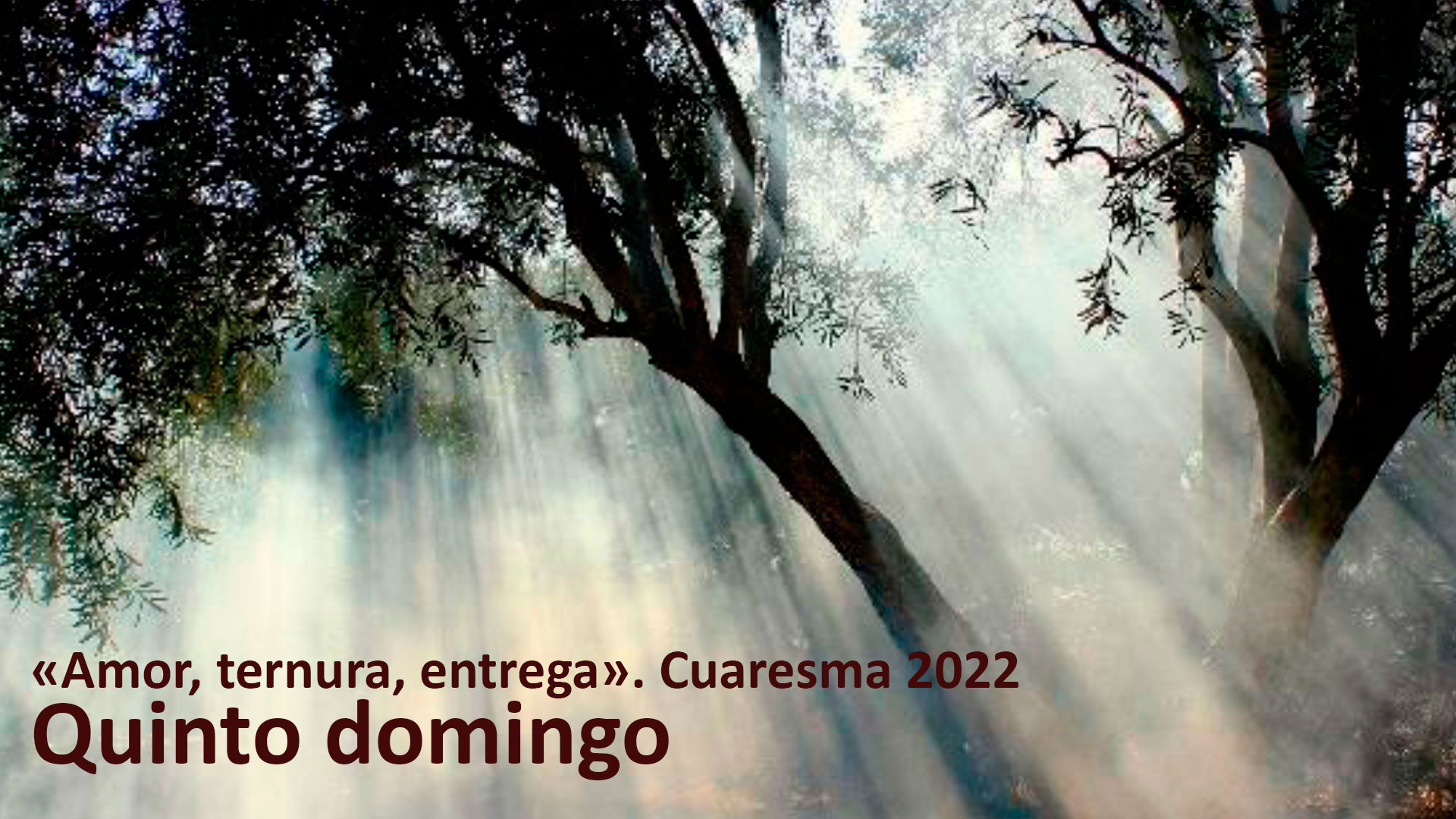 “Amor, Ternura, Entrega”. Quinto domingo de Cuaresma