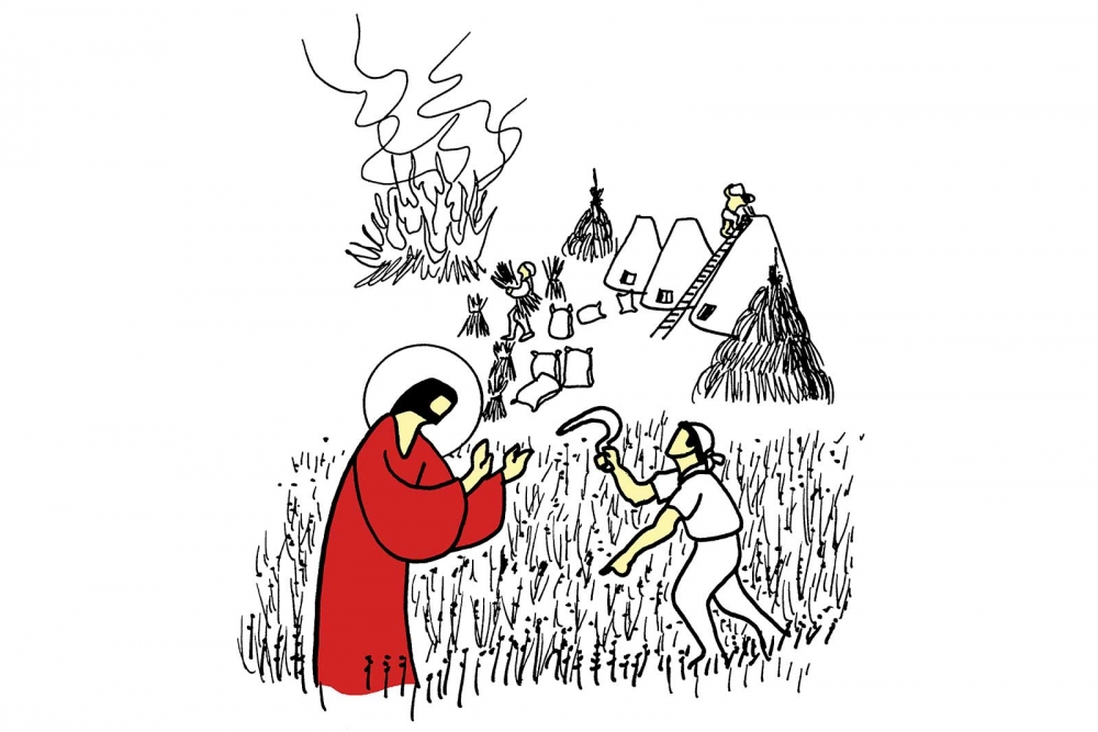Celebrando la Palabra - XVI del Tiempo Ordinario (19 de julio)