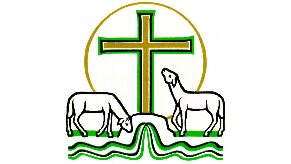 Celebrando la Palabra - IV Domingo de Pascua (25 de abril)