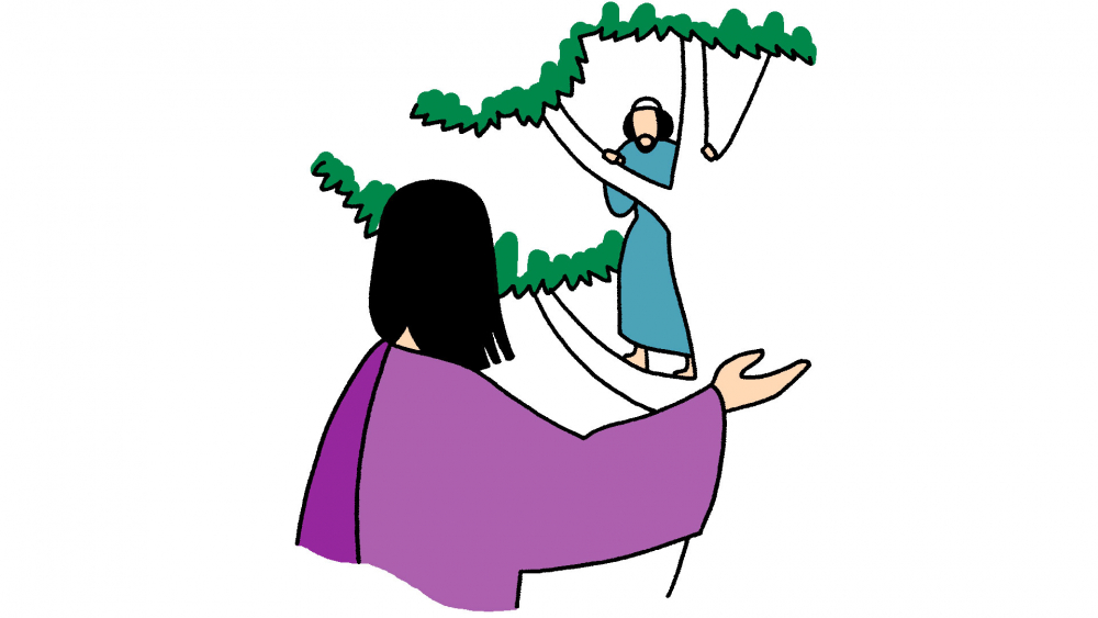 Celebrando la Palabra - XXXI Domingo del Tiempo Ordinario - (23 de octubre)