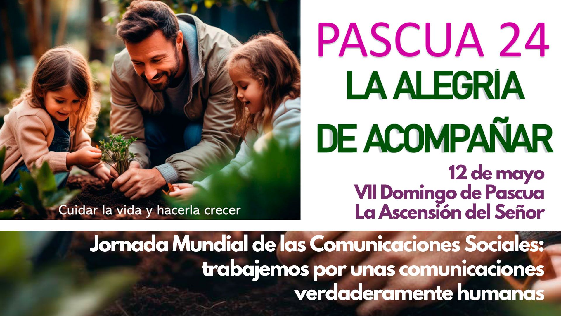Pascua24 - Séptimo Domingo. La Ascenión del Señor