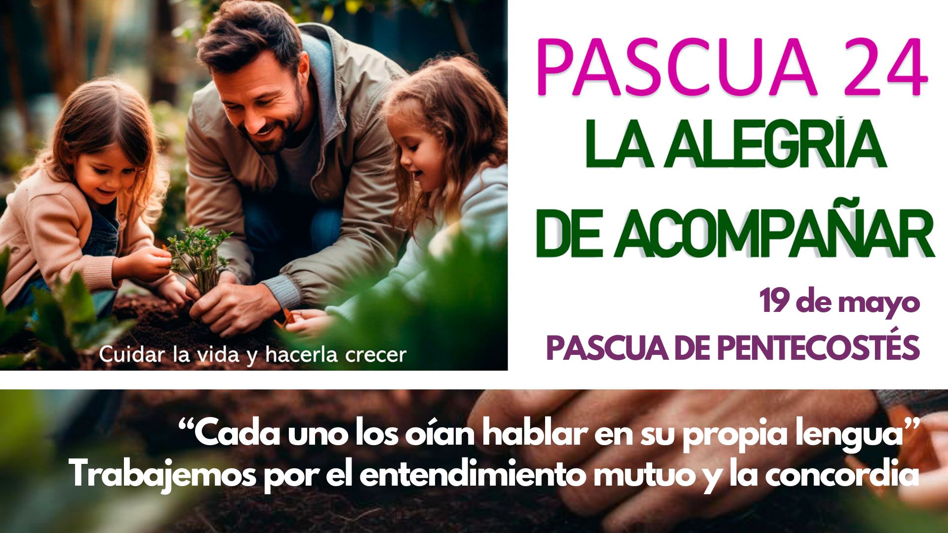 Pascua24 – Pascua de Pentecostés