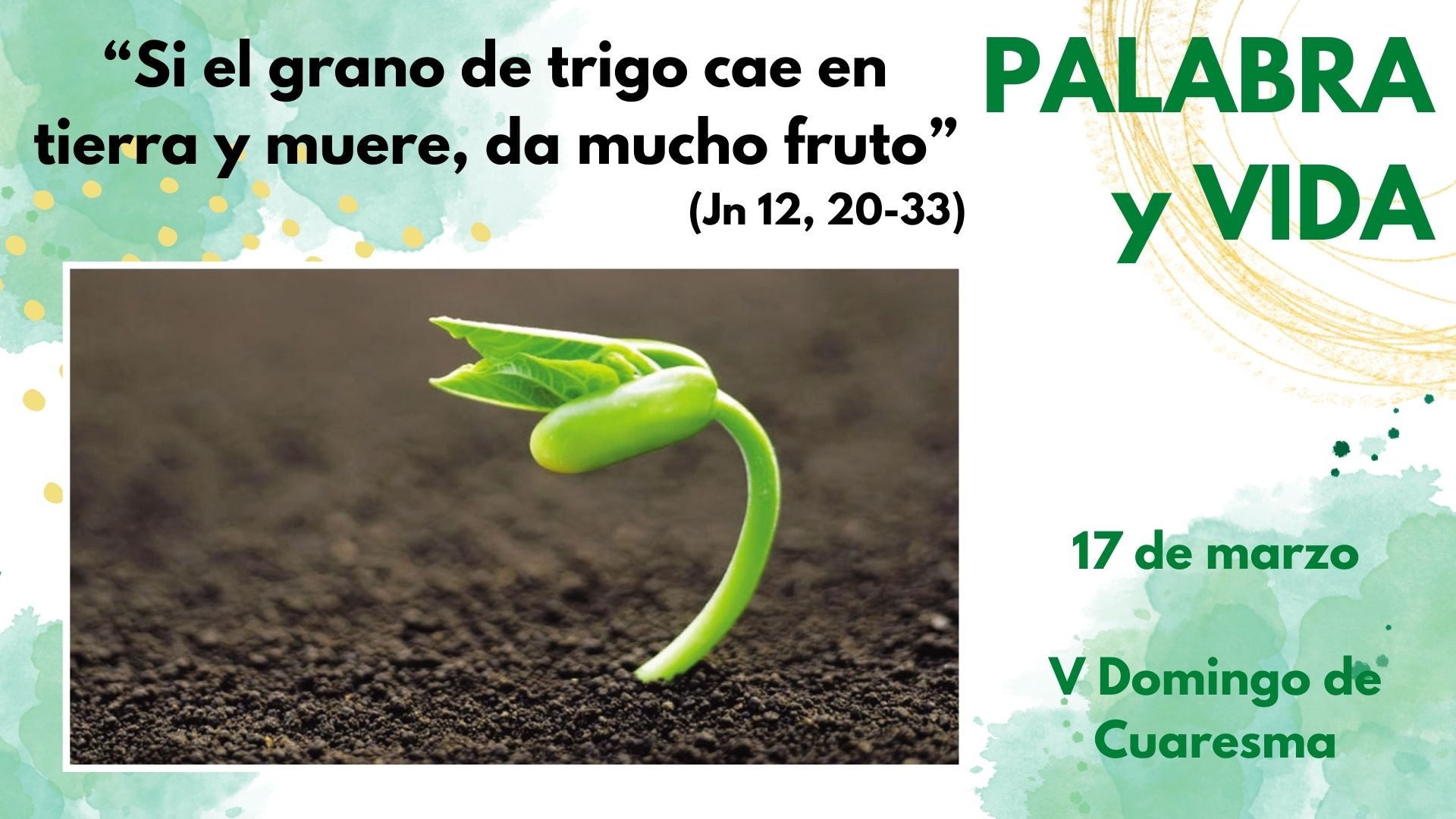 Palabra y Vida - Dar la vida, morir para dar fruto