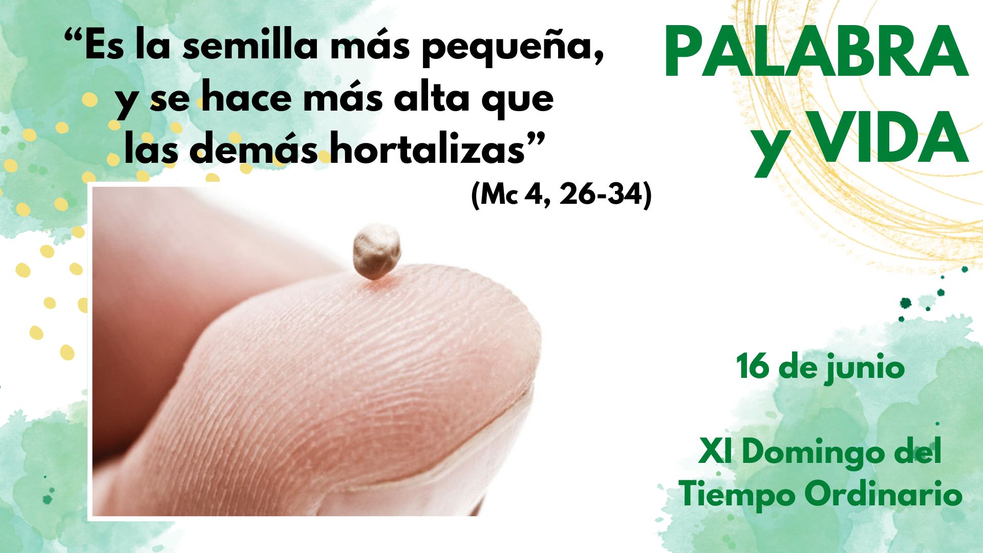 Palabra y Vida - Lo pequeño será grande