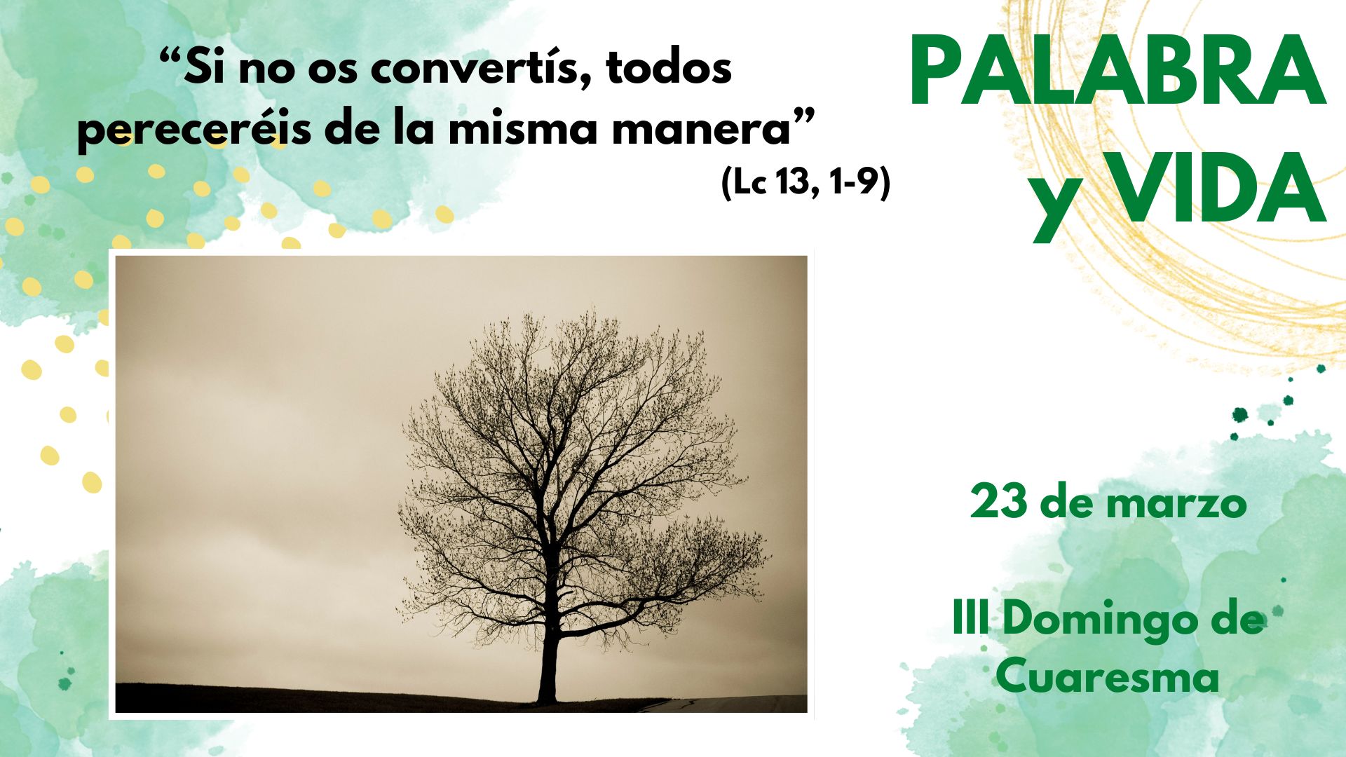 Palabra y Vida - Convertirnos para dar fruto