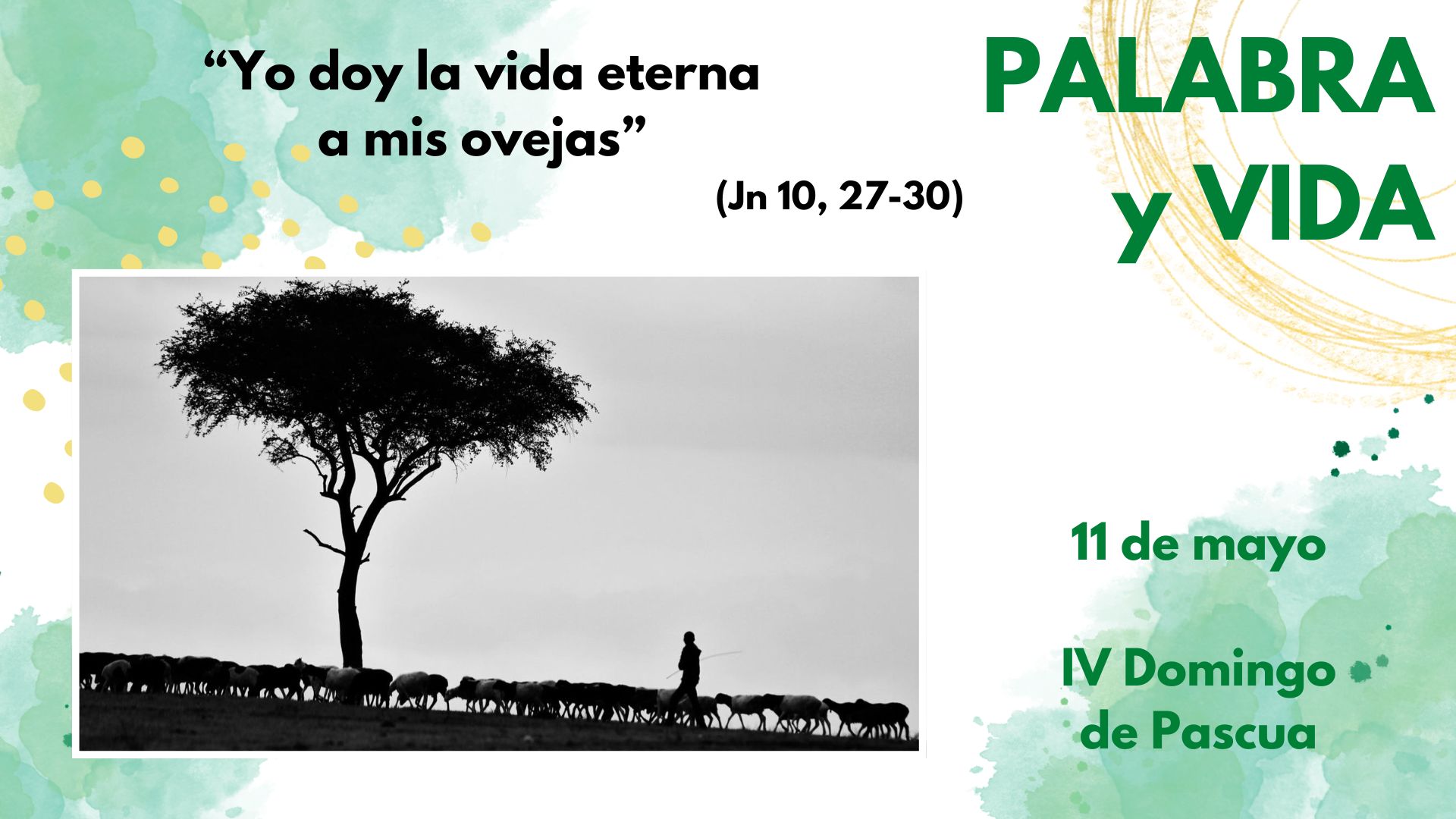 Palabra y Vida - Nos sabemos guiados por el Buen Pastor
