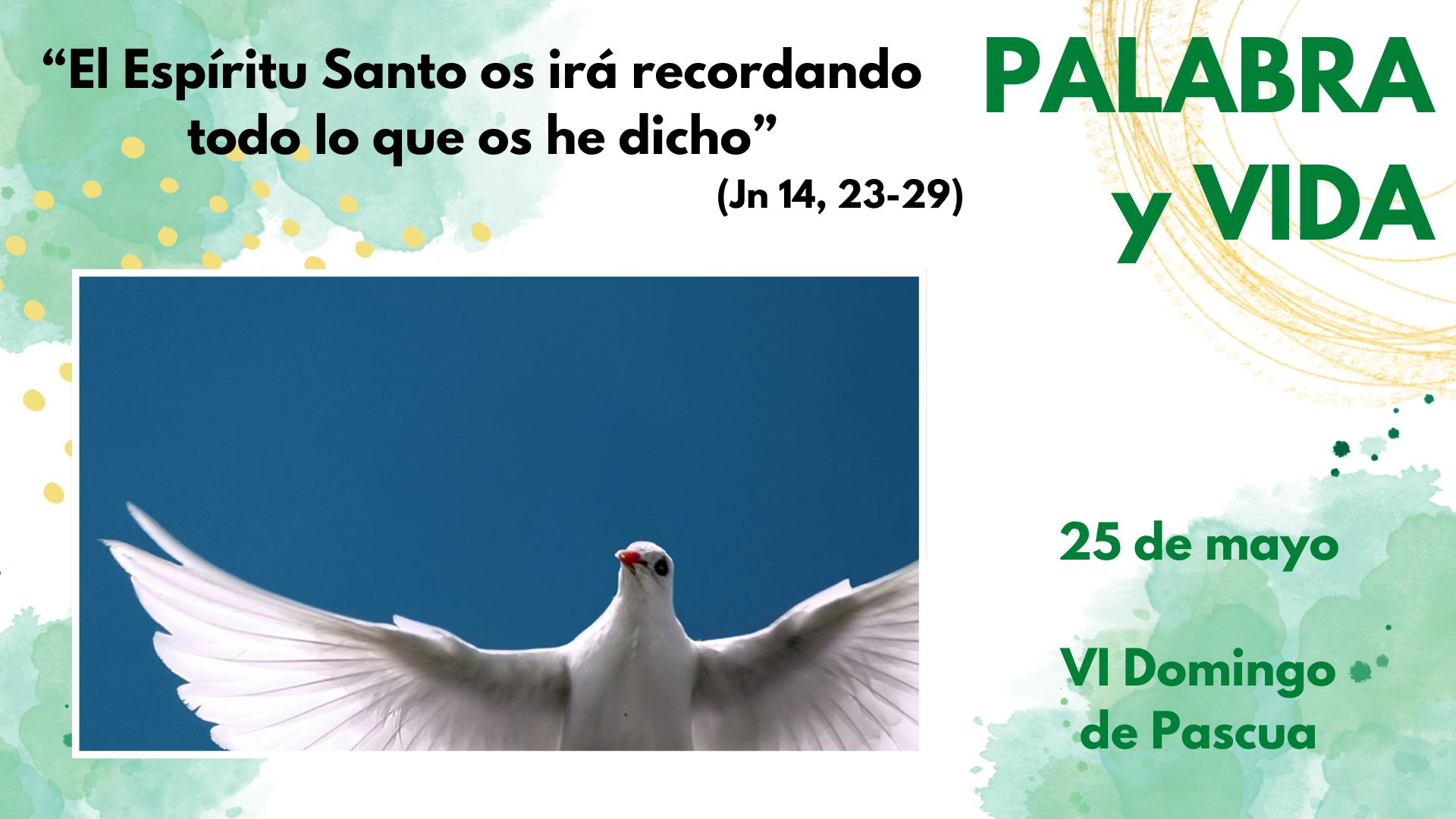 Palabra y Vida - Seguir creyendo