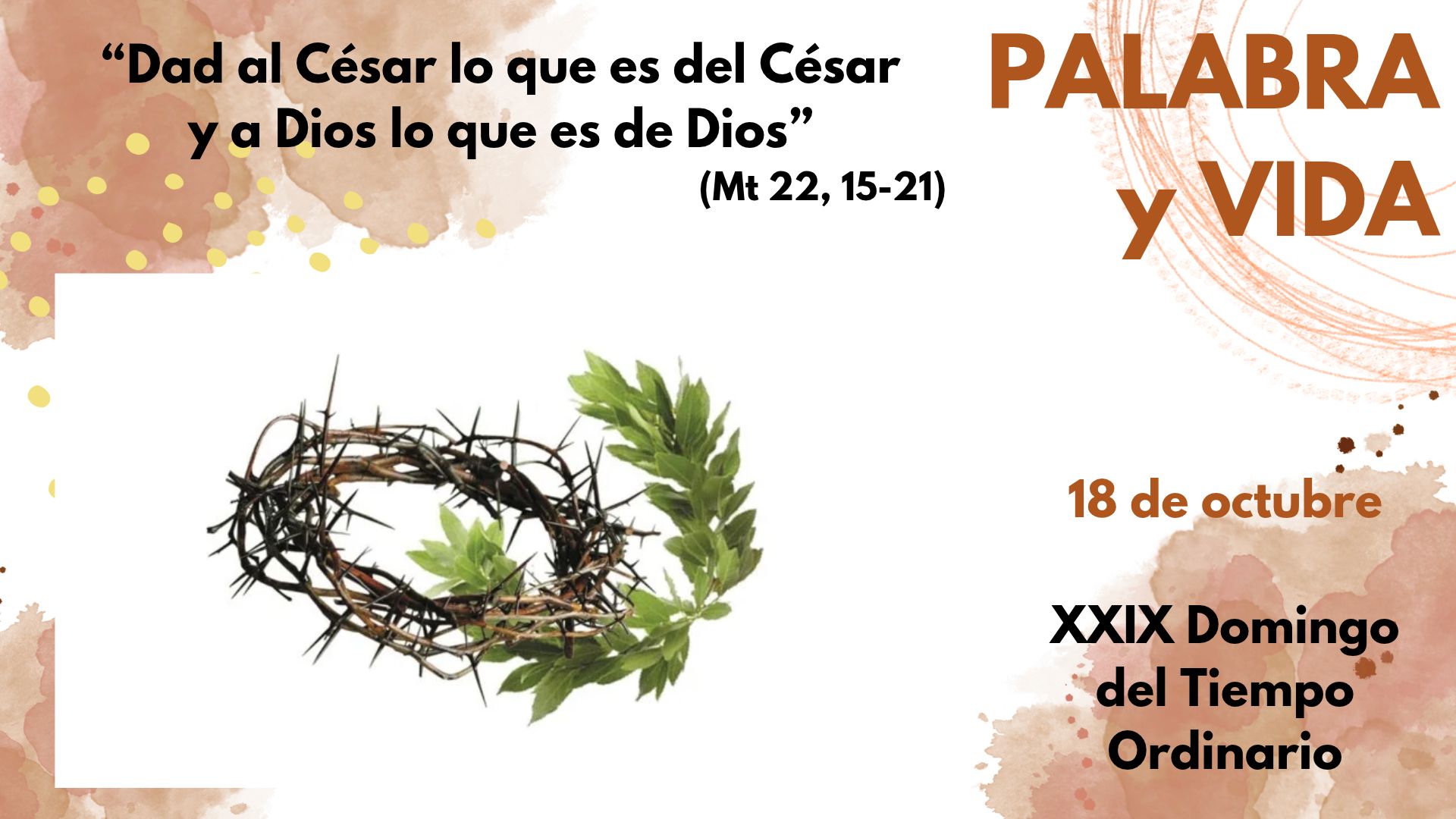 Palabra y Vida: Las monedas de Dios