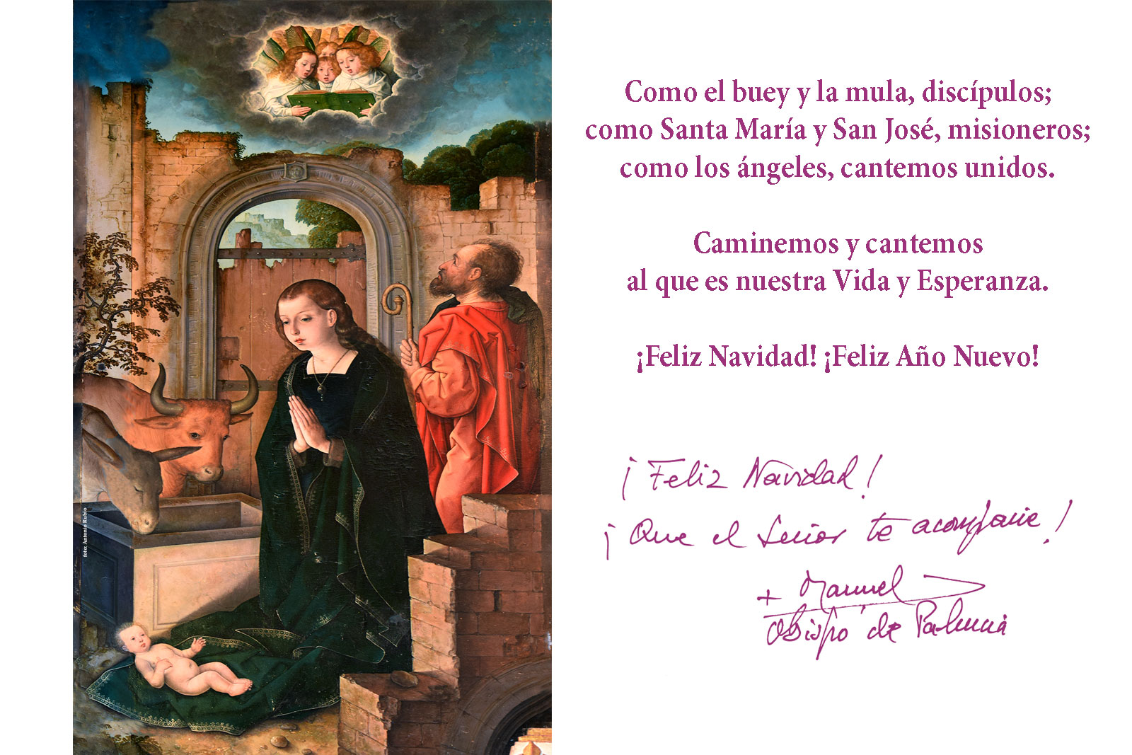 Navidad 2019: Camina y Canta