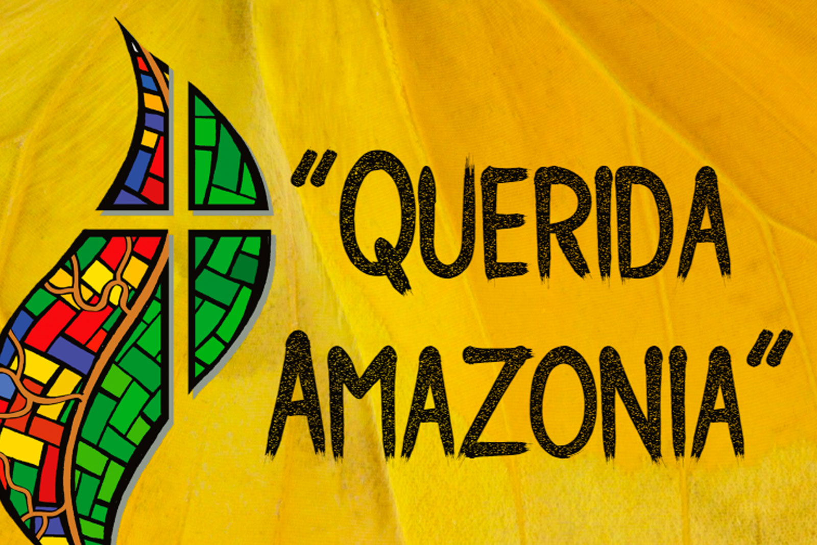 Querida Amazonia, querida Palencia
